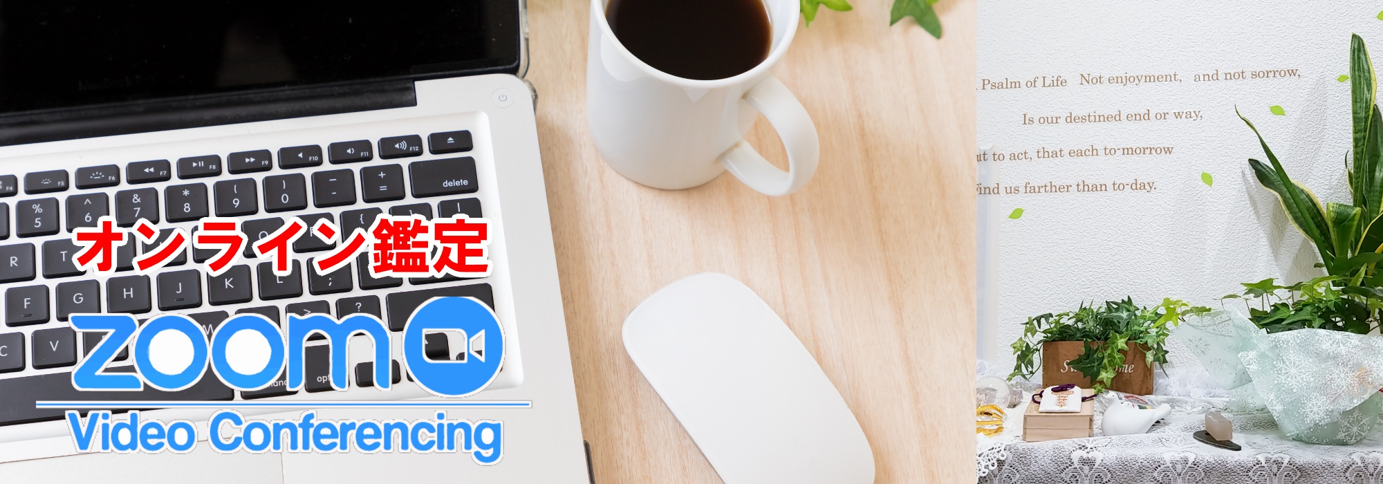 スピリチュアルカウンセリングと占いサロン　ミライなび横浜元町中華街・湘南平塚・東京町田オンライン鑑定